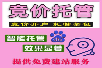 信息流广告精准投放：成功案例展示